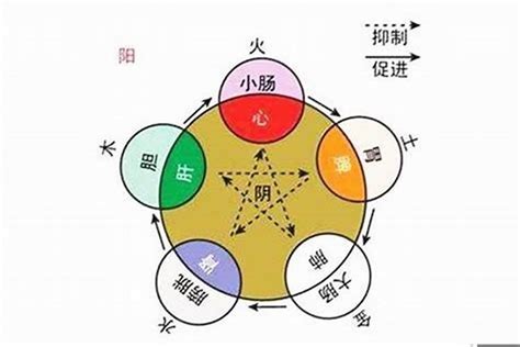 自己 五行 屬性|快速瞭解你的五行屬性